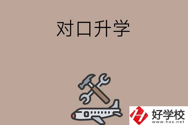 職高學生參加湖南省對口升學，有什么本科可以報考？