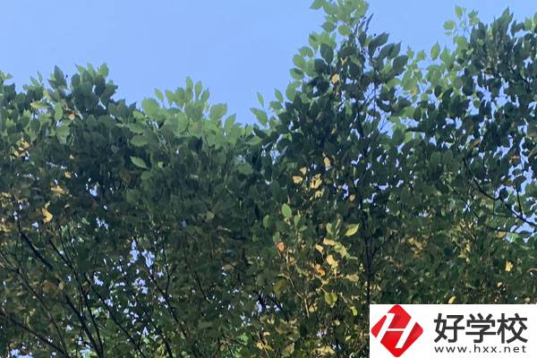 邵陽(yáng)職業(yè)技術(shù)學(xué)校就業(yè)好不好？值得報(bào)考嗎？