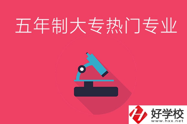 湖南五年制大專最熱門(mén)的專業(yè)有哪些？