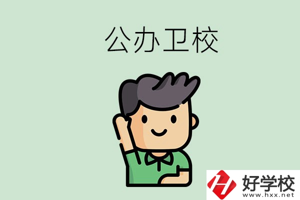 湖南的公辦衛(wèi)校有哪些？這兩所學(xué)校值得推薦！