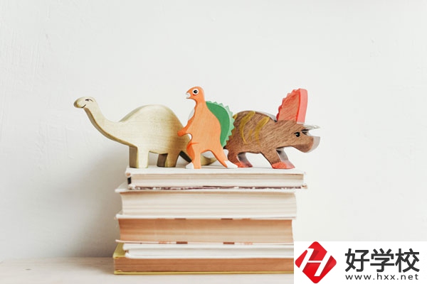 懷化啟航衛(wèi)生學(xué)校辦學(xué)地址在哪兒？