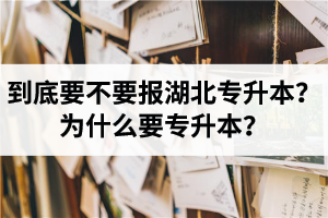 到底要不要報(bào)湖北專升本？為什么要專升本？