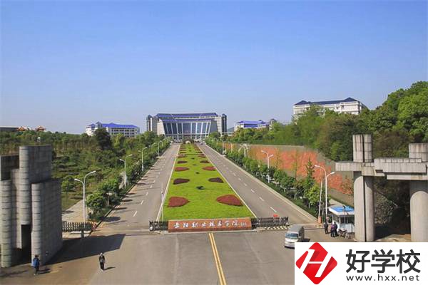 岳陽有哪些招收初中生的公辦大專？招生專業(yè)有哪些？