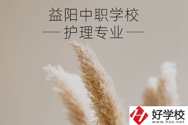 益陽護理專業(yè)的中職學校有哪些？需要哪些要求？