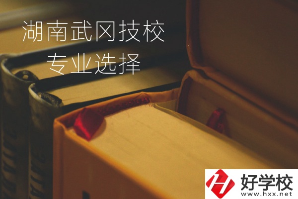 湖南武岡技校怎么樣？有哪些專業(yè)可以選擇？