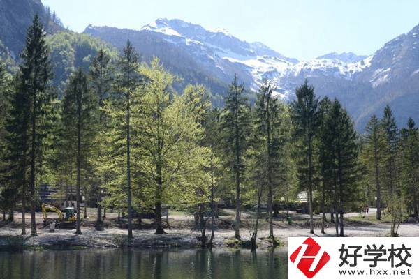 湘西自治州技工學校怎么樣?宿舍環(huán)境怎么樣？