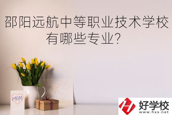 邵陽遠航中等職業(yè)技術學校有哪些專業(yè)？