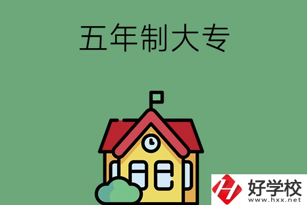 常德有可以招收初中畢業(yè)生的五年制大專院校嗎？