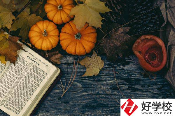 臨湘市職業(yè)中專開設(shè)哪些熱門專業(yè)、就業(yè)方向
