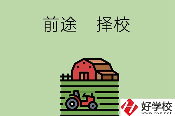 在長(zhǎng)沙讀中職學(xué)校有前途嗎，如何擇校？
