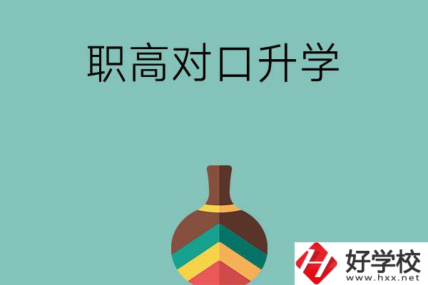 湖南職高對(duì)口升學(xué)可以考哪些大專？