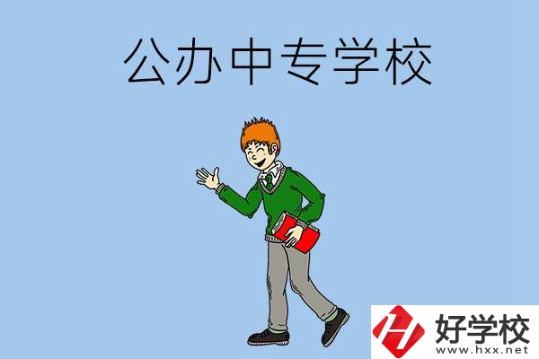 郴州公辦的中專(zhuān)一共有多少所？