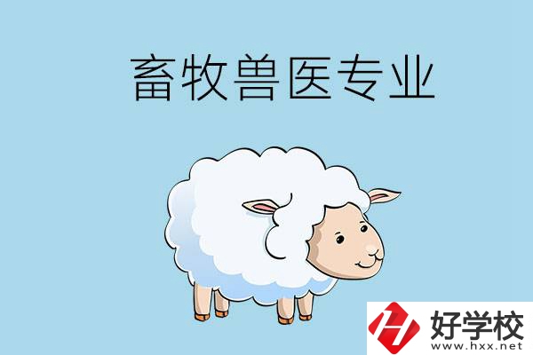 畜牧獸醫(yī)專業(yè)好就業(yè)嗎？湖南哪些技校開設了該專業(yè)？