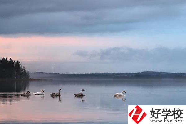湖南有色金屬中專學(xué)校有哪些專業(yè)？就業(yè)方向如何？