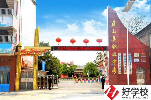 藍(lán)山縣職業(yè)中等專業(yè)學(xué)校是公辦學(xué)校嗎？有什么專業(yè)？