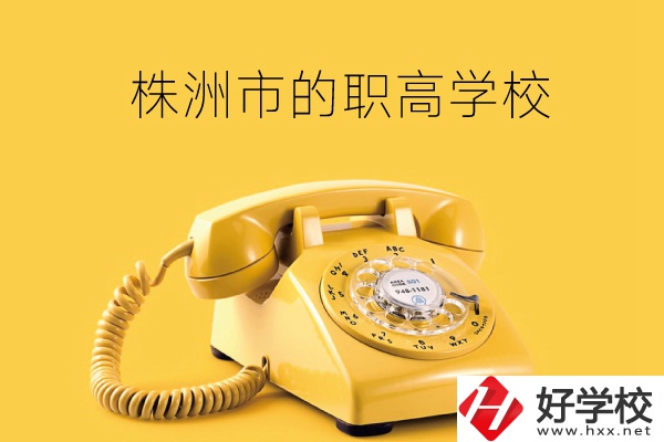 株洲市有哪些職高學校？