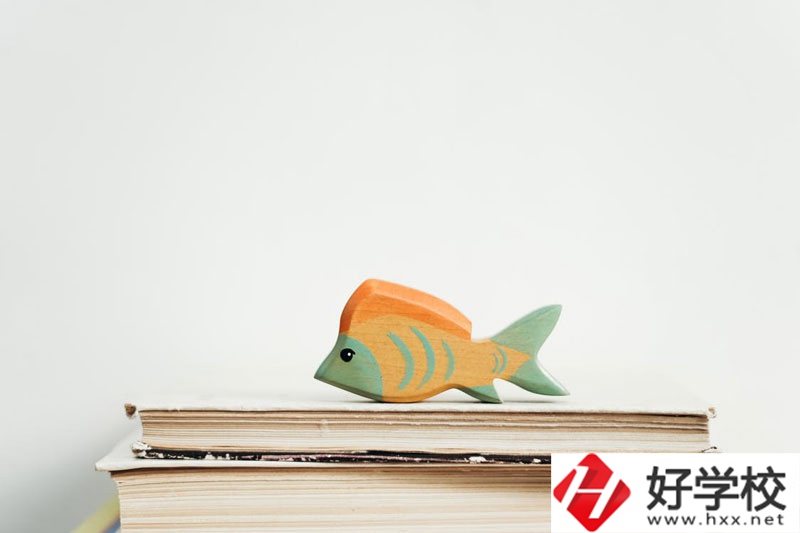 長(zhǎng)沙市英藍(lán)中等職業(yè)學(xué)校學(xué)費(fèi)多少？貴不貴？