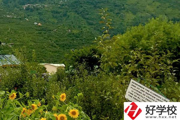 長沙公辦中職學校好不好？都有哪些學校？