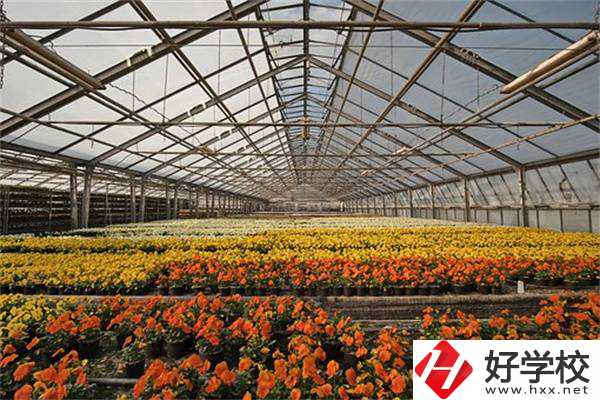 園藝技術專業(yè)好就業(yè)嗎？永州有開設該專業(yè)的公辦學校嗎？