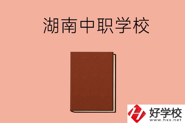 湖南有哪些就業(yè)率比較高的中職學(xué)校？