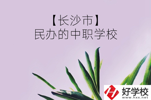 長沙市有哪些民辦的中職學校？