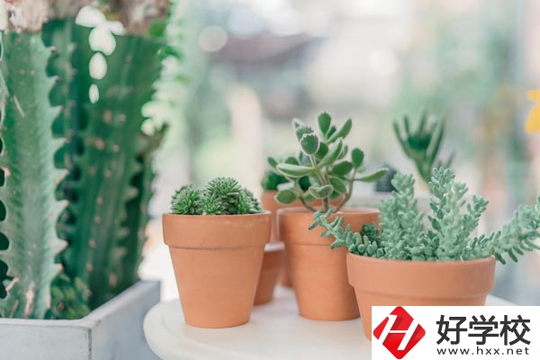 瀏陽(yáng)市三聯(lián)工業(yè)學(xué)校辦學(xué)條件怎么樣？