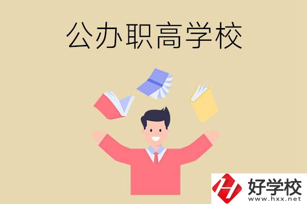 婁底公辦的職高學(xué)校有幾所？
