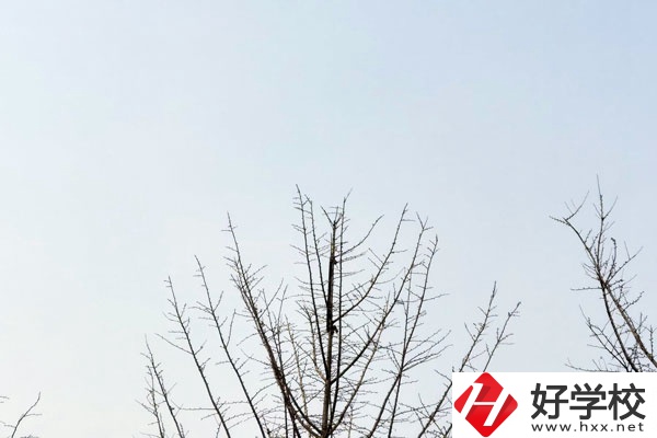 益陽第一職業(yè)中專學(xué)校怎么樣？值得報考嗎?