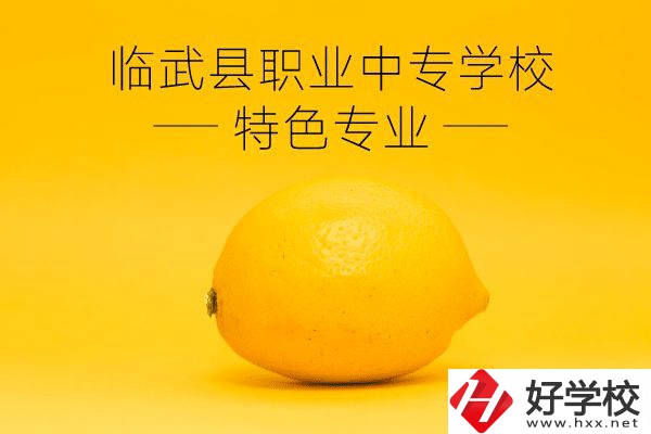 臨武縣職業(yè)中專學(xué)校好嗎？有哪些特色專業(yè)？
