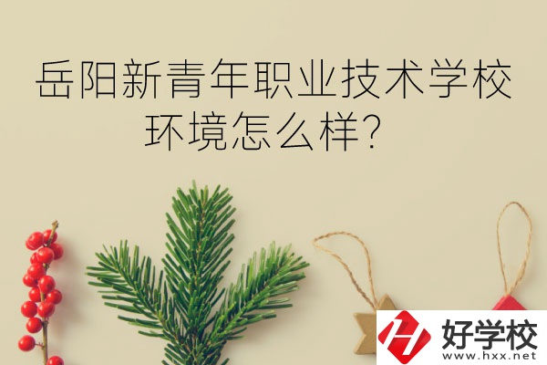 岳陽新青年職業(yè)技術(shù)學(xué)校好不好？環(huán)境怎么樣？