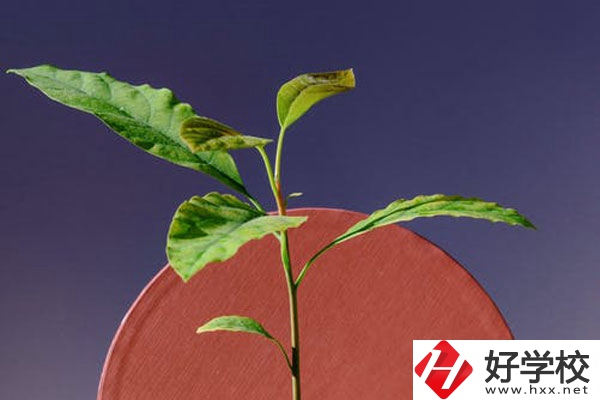 株洲市工業(yè)中等專校怎么樣？好不好？