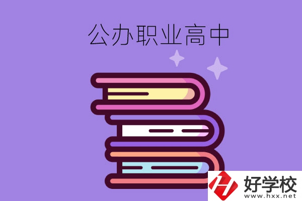 長沙市有哪些公辦職業(yè)高中學(xué)校？