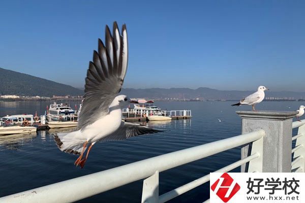 準備讀中專，衡陽縣職業(yè)中專好不好？