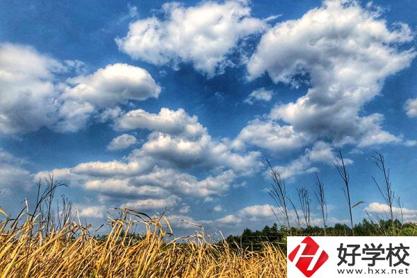 衡陽市瀟湘衛(wèi)生中等專業(yè)學(xué)校有哪些特色專業(yè)？