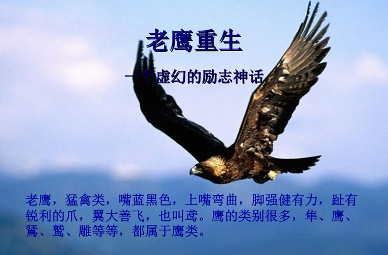 遂寧電力工程學(xué)校2025年學(xué)費(fèi)多少？貴嗎？