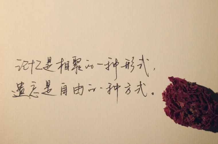 2025莆田衛(wèi)生學校開設(shè)的專業(yè)一覽表