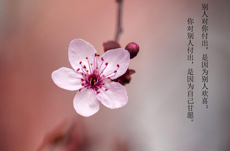 鞍山旅游學(xué)校怎么樣