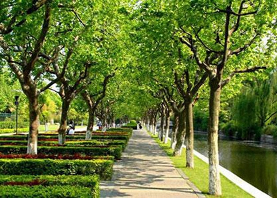 湖南2025年初中生上鐵路學(xué)校好嗎