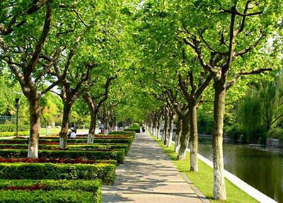 2025江蘇公辦職業(yè)學(xué)校有哪些 江蘇公辦職業(yè)學(xué)校名單一覽表